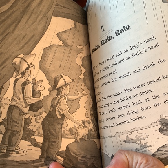 🔥4/$25🔥Magic treehouse set of two - Picture 6 of 6